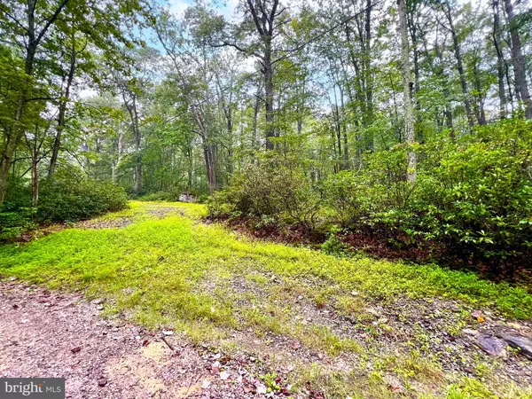 Oakland, MD 21550,9 & 10 GROUSE RUN RD