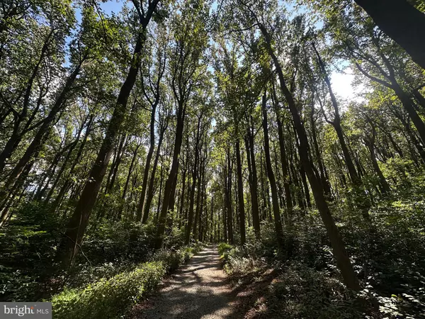 Paris, VA 20130,BLUERIDGE MOUNTAIN