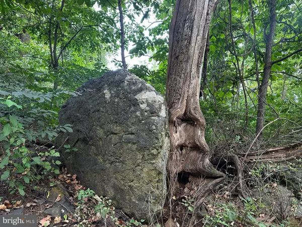 Paris, VA 20130,BLUERIDGE MOUNTAIN