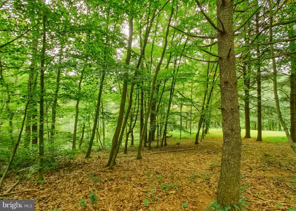 Landisburg, PA 17040,0 MARION DR