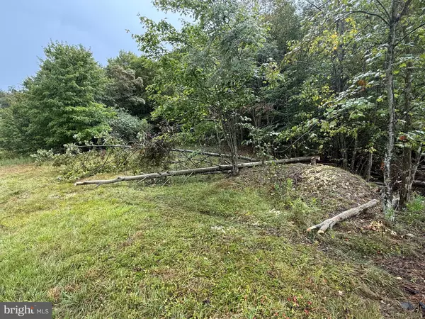 Keyser, WV 26726,0 PINNACLE ROAD