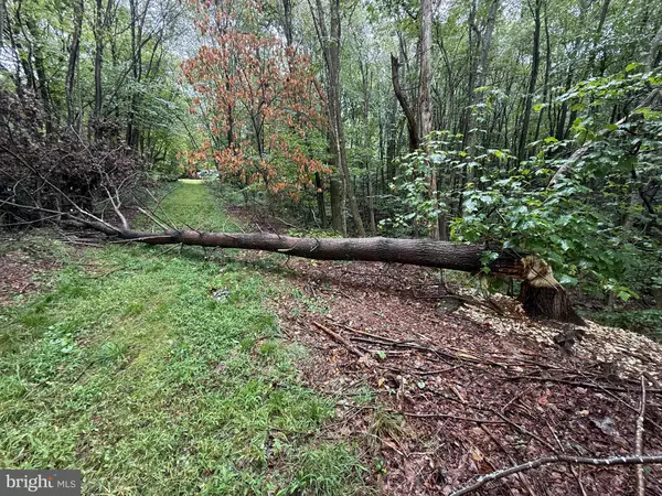 Keyser, WV 26726,0 PINNACLE ROAD