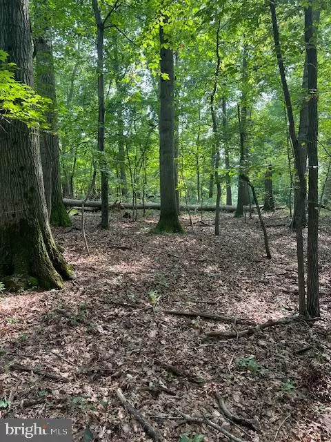 Parkton, MD 21120,MILLER RD