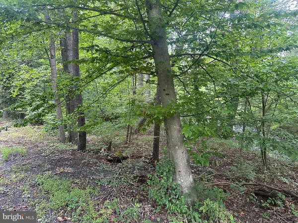 Maurertown, VA 22644,TBD VAN BUREN RD