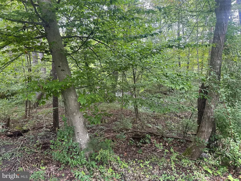 TBD VAN BUREN RD, Maurertown, VA 22644