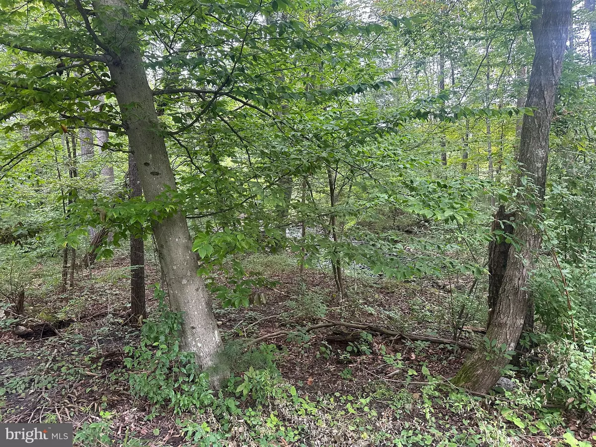 Maurertown, VA 22644,TBD VAN BUREN RD