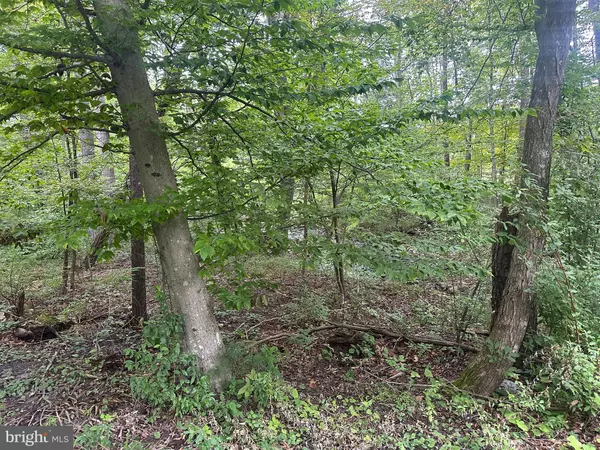 TBD VAN BUREN RD, Maurertown, VA 22644