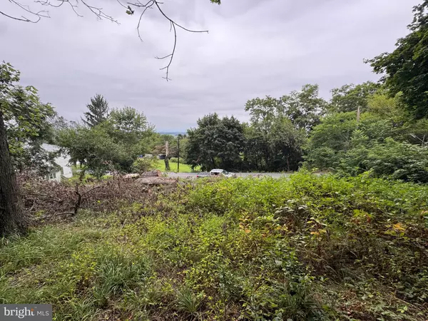 Waynesboro, PA 17268,VACANT LOT AT 8710 CAPITOL HILL RD