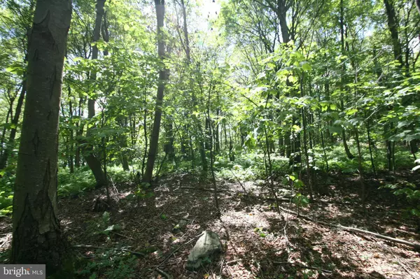 Three Springs, PA 17264,000 LEIDIG