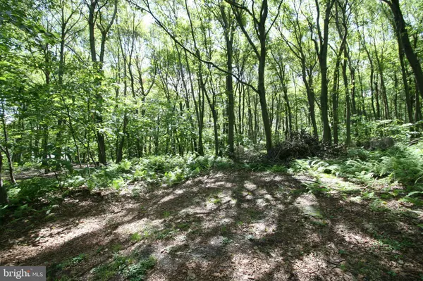 Three Springs, PA 17264,000 LEIDIG