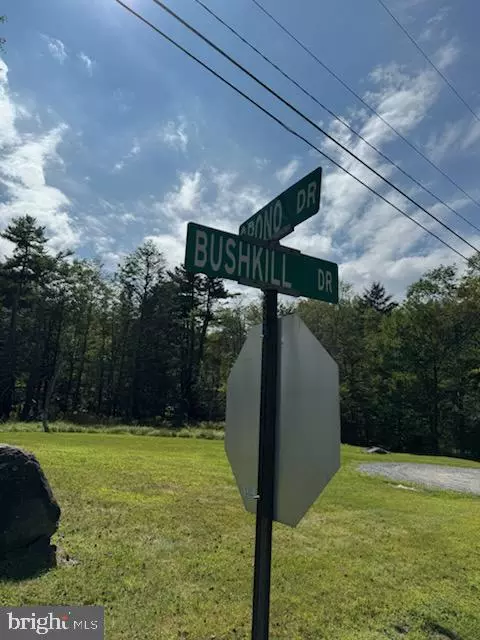 Pocono Lake, PA 18347,00 ORONO DR