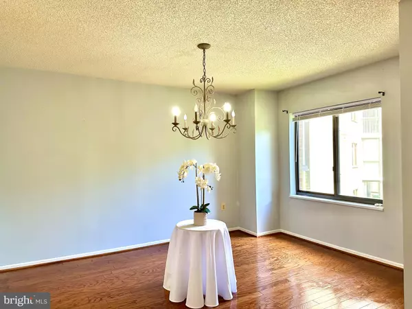 Silver Spring, MD 20906,3310 N LEISURE WORLD BLVD #503-6