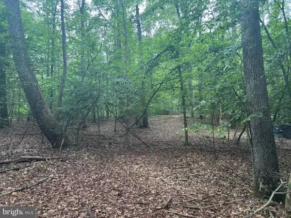 Brandywine, MD 20613,16661 BALD EAGLE SCHOOL RD