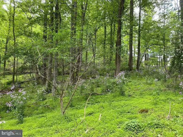 Myersville, MD 21773,12509 STOTTLEMYER RD