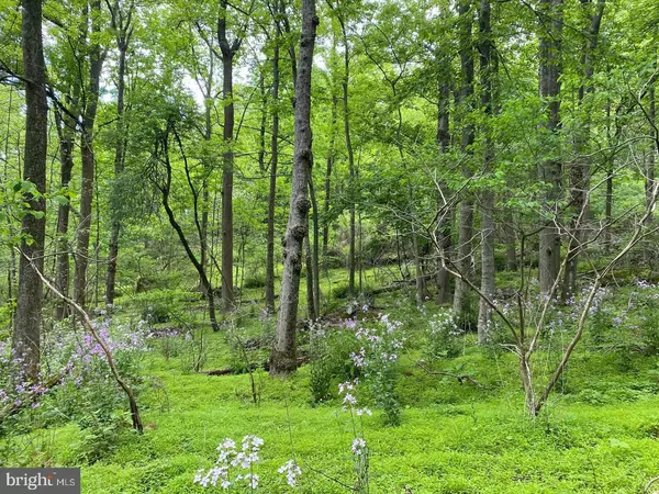 Myersville, MD 21773,12509 STOTTLEMYER RD