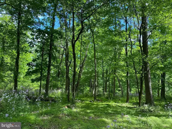 Myersville, MD 21773,12509 STOTTLEMYER RD