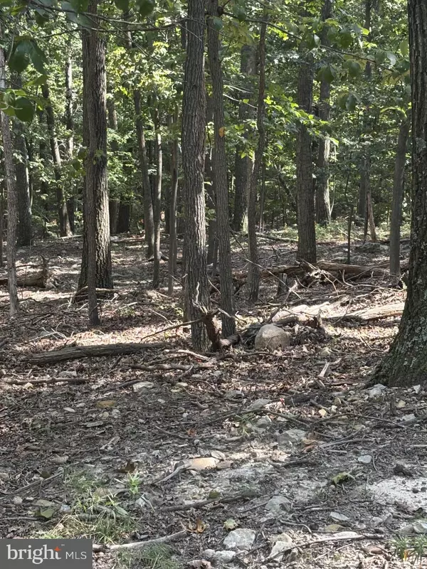 Hedgesville, WV 25427,TERRAIN DRIVE