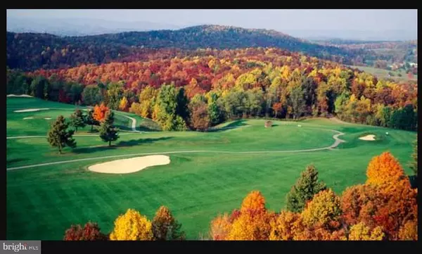 Hedgesville, WV 25427,203 THE WOODS RD