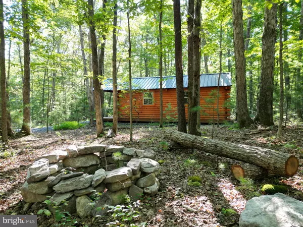 Basye, VA 22810,ALUM SPRINGS RD