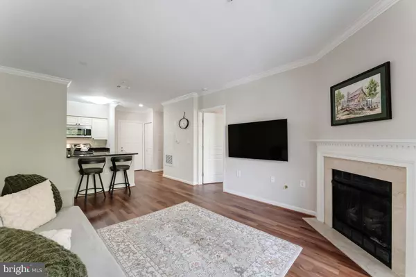 Herndon, VA 20170,12913 ALTON SQ #217