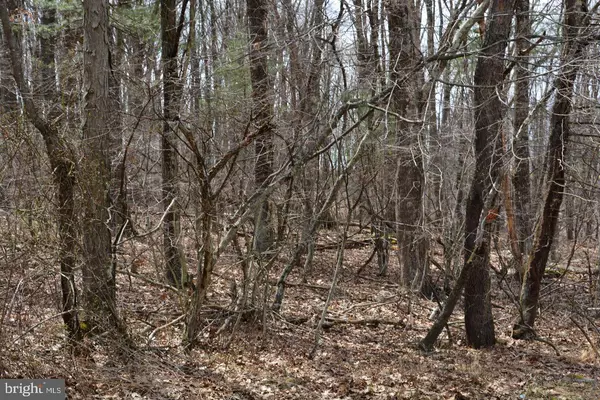 Clearville, PA 15535,AKERS RD