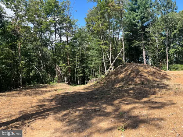 Luray, VA 22835,TBD DRY CREEK RD