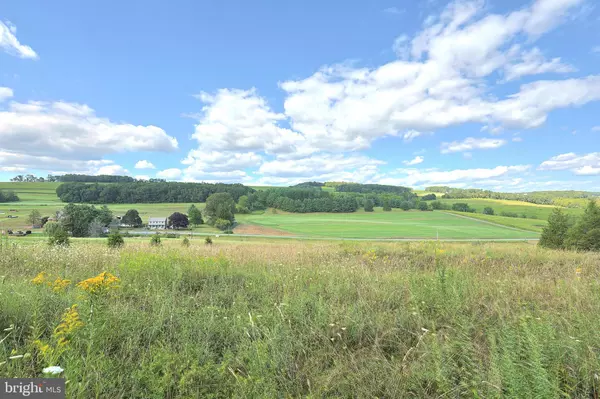 New Ringgold, PA 17960,EAGLE VIEW DR