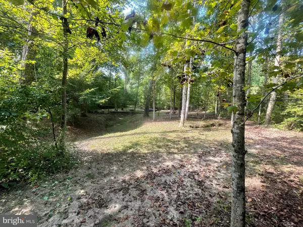 King George, VA 22485,DOGWOOD LN