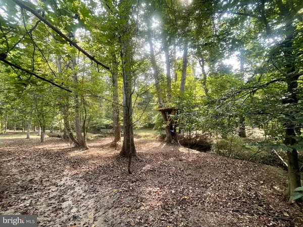 King George, VA 22485,DOGWOOD LN