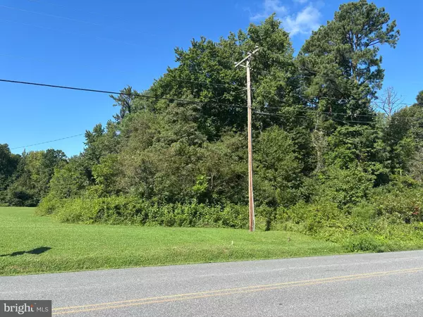 Colonial Beach, VA 22443,STONEY KNOLL