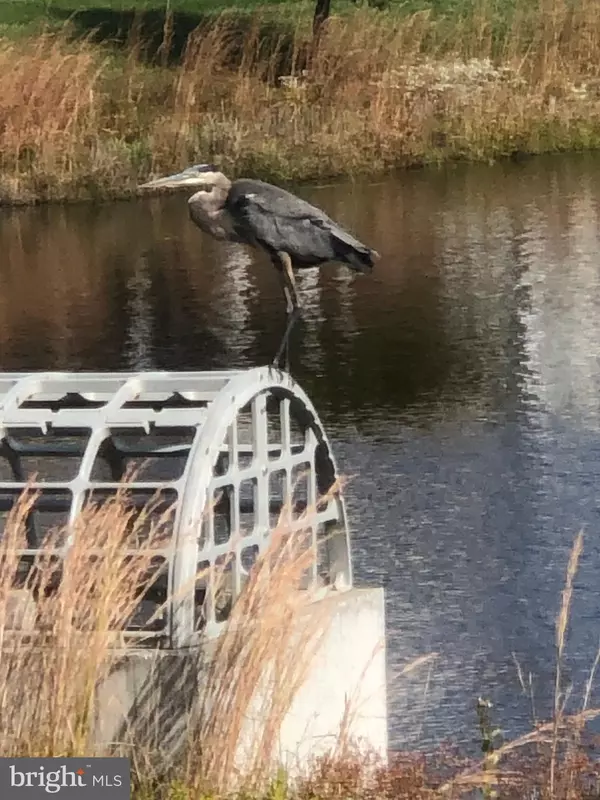 Millville, DE 19967,17010 BELLEVUE CT