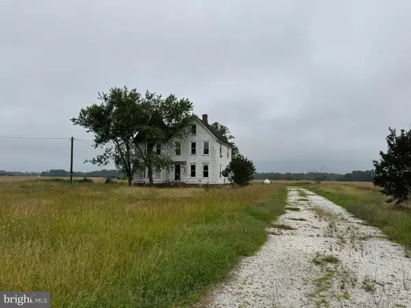 Oak Hall, VA 23416,7382 BULLBEGGER RD