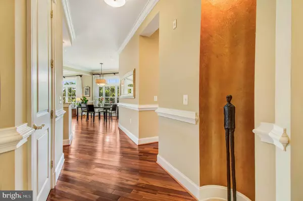 Arlington, VA 22201,2801 LANGSTON BLVD #302