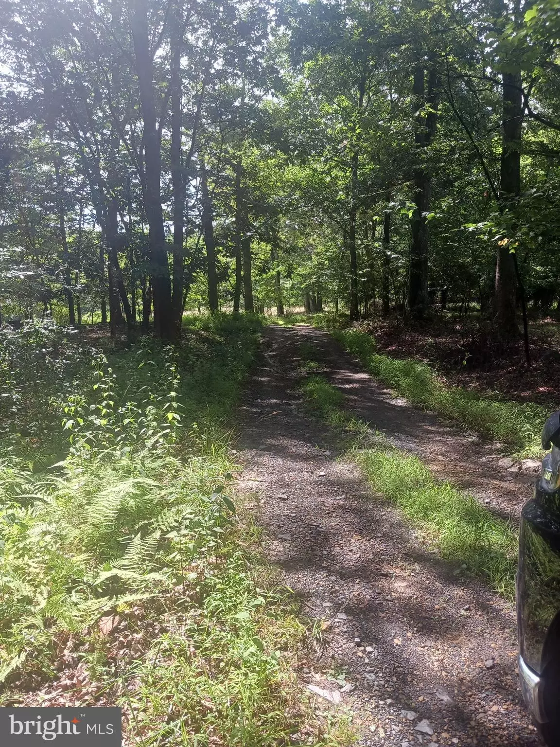 Bedford, PA 15522,363 LOUKS LANE
