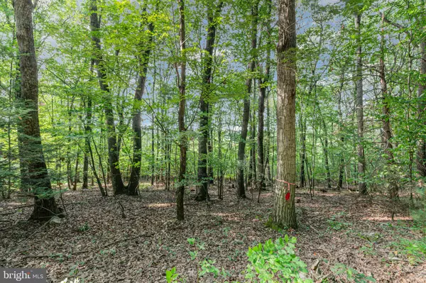 Newport, PA 17074,1 JUNIATA FURNACE LN