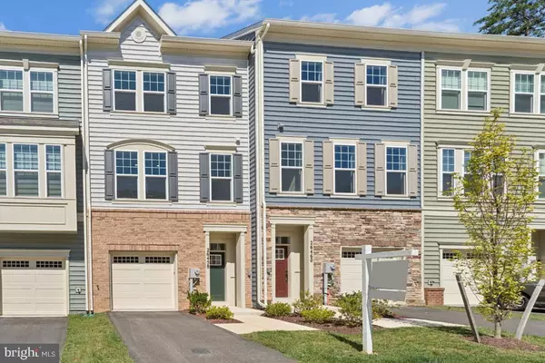 Damascus, MD 20872,26458 SIR JAMIE TER