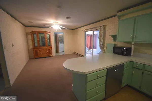 Millsboro, DE 19966,111 IRONS AVE