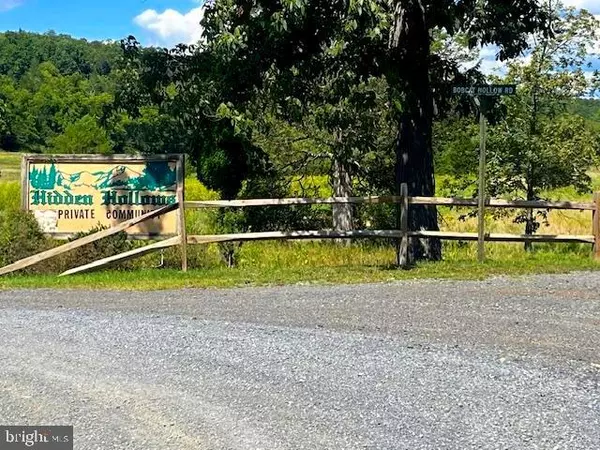 Romney, WV 26757,45 COUGAR HOLLOW RD