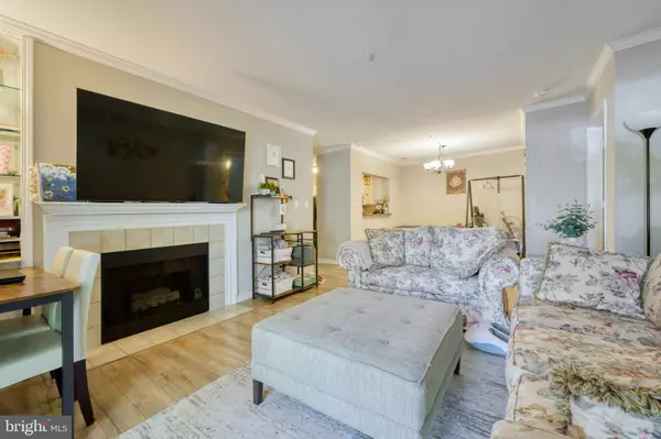 Ashburn, VA 20147,20311 BEECHWOOD TER #101