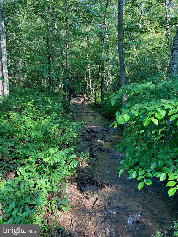 Bloomery, WV 26817,CROSTON NORTH RIVER RD N