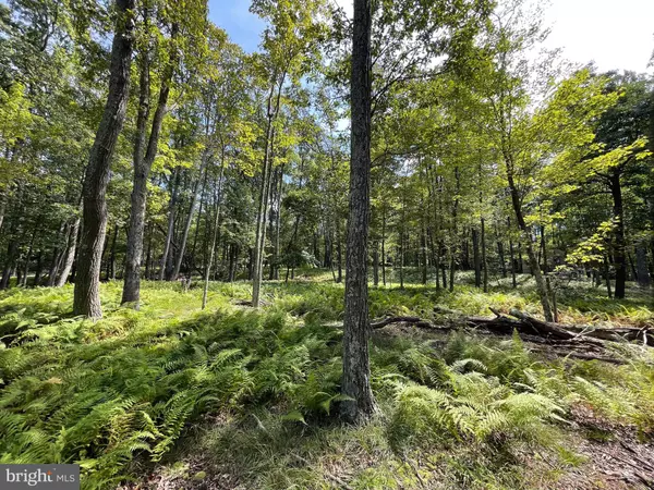 Zion Grove, PA 17985,49 ALPINE DR