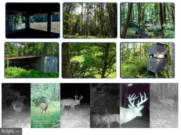 Ridgely, MD 21660,RIVER ROAD