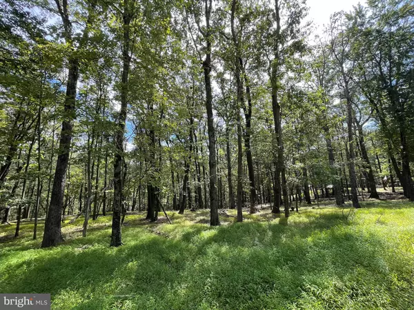 Zion Grove, PA 17985,116 SPRING MOUNTAIN DR