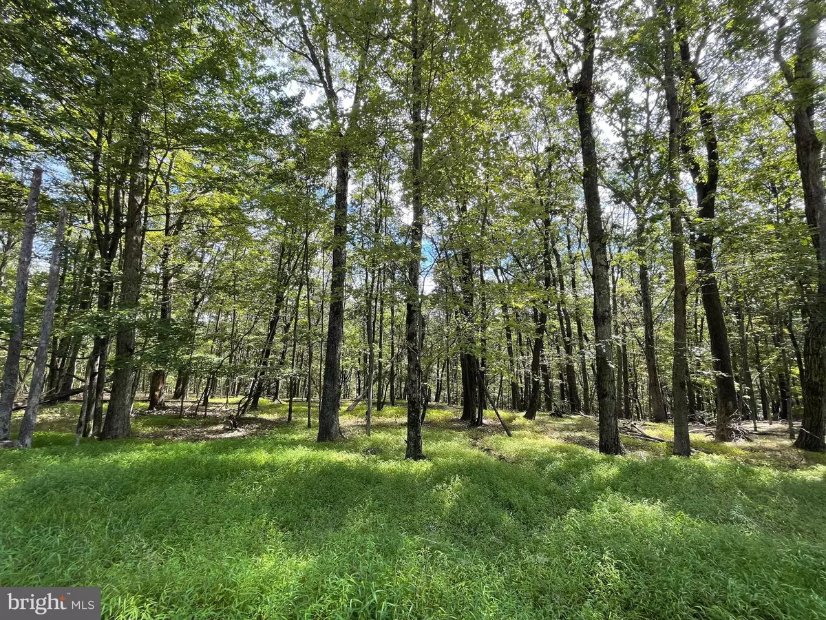 Zion Grove, PA 17985,116 SPRING MOUNTAIN DR