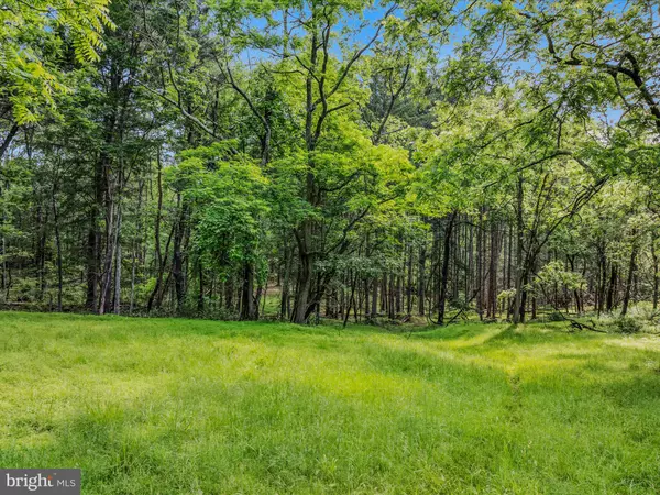 Hedgesville, WV 25427,TRACT 1 GRECIAN LN