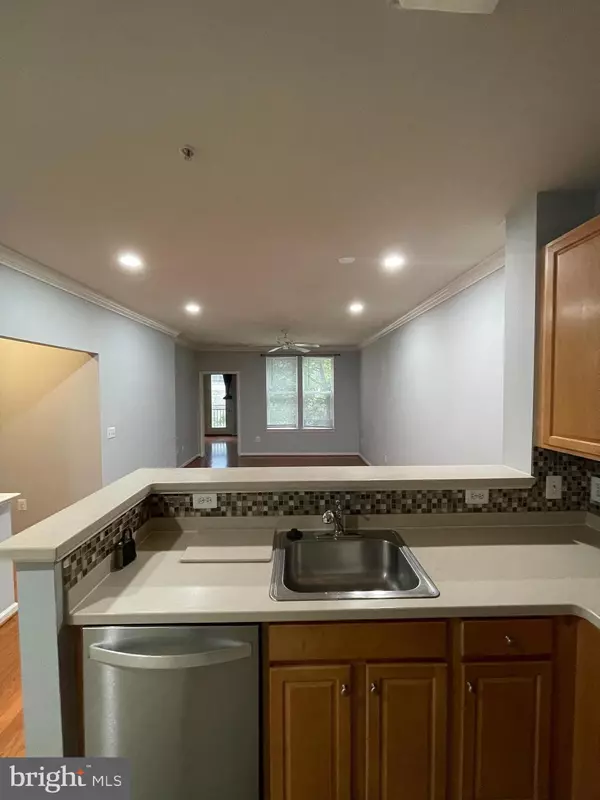 Reston, VA 20190,12001 MARKET ST #155