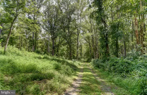 Bedford, VA 24523,0 N OTTER CREEK RD