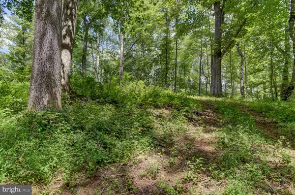 Bedford, VA 24523,0 N OTTER CREEK RD