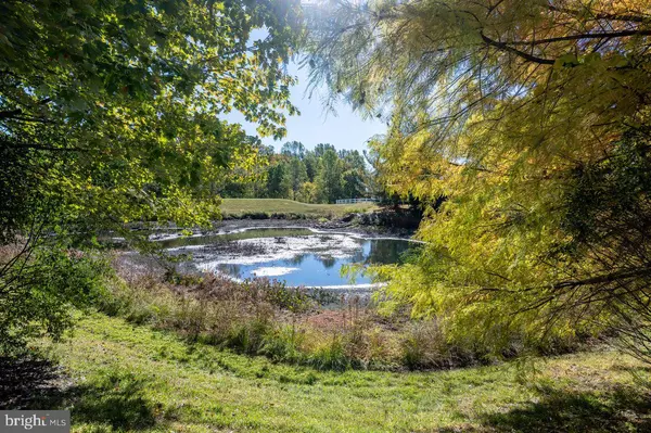 Gaithersburg, MD 20878,743 SUMMER WALK DR