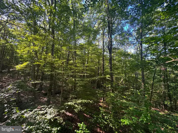 Belington, WV 26250,TRACT 2 S TETER CREEK RD